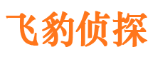 滨海新区侦探公司